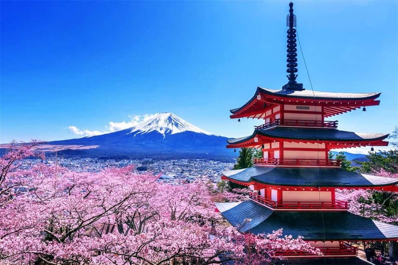 Mt. Fuji Heritage Tour: Traditional Villages, Lakes & Shrine - Lunch without a built-in meal