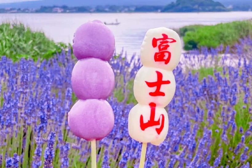 Mt. Fuji Heritage Tour: Traditional Villages, Lakes & Shrine - How much Fuji can you really expect to see?
