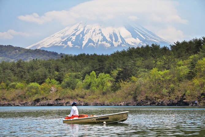 Mt. Fuji Highlight Photo Spots One Day Tour from Tokyo - Lake Kawaguchi and Oishi Park in two short visits