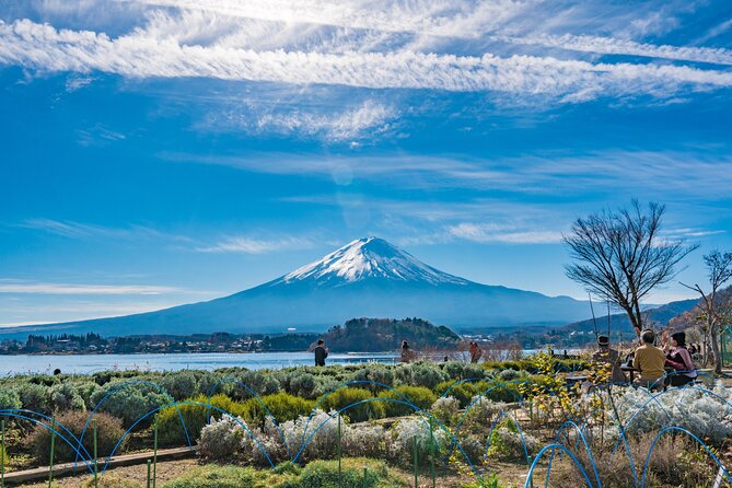 Mt. Fuji Highlight Photo Spots One Day Tour from Tokyo - Shiraito Falls adds sound, shade, and movement