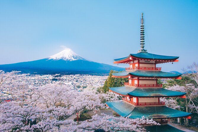 Mt. Fuji Highlight Photo Spots One Day Tour from Tokyo - Obuchi Sasaba and the tea-field finale