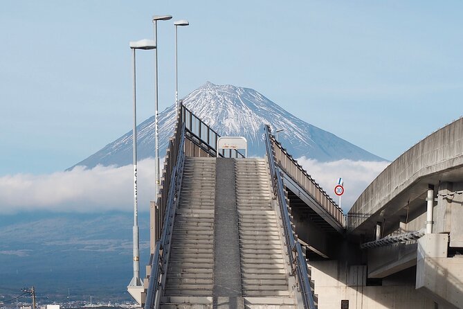 Mt. Fuji Highlight Photo Spots One Day Tour from Tokyo - The Lawson stop and a modern Japanese postcard