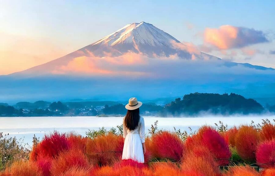Mt. Fuji & Lake Kawaguchiko Ropeway Panorama Full-Day Tour - A full Fuji day from Tokyo