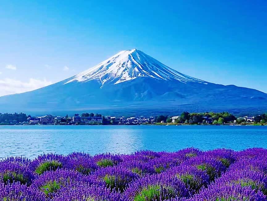 Mt. Fuji & Lake Kawaguchiko Ropeway Panorama Full-Day Tour - What the $54 price really covers