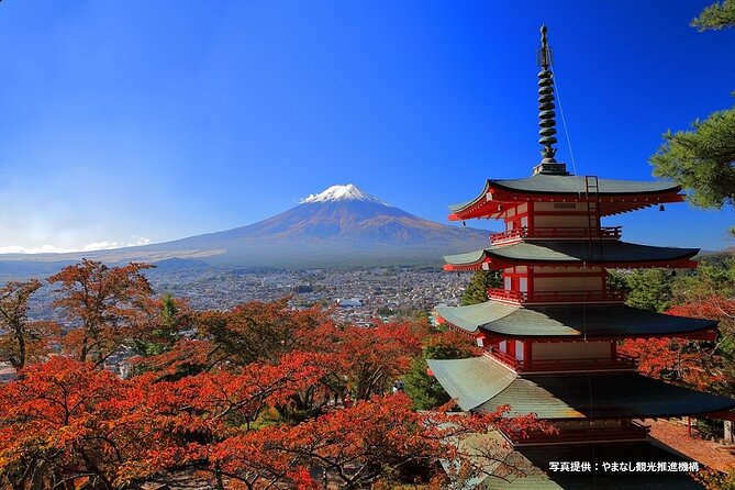 Mt. Fuji, Oishi Park & Arakurayama Pagoda Bus Tour with Lunch - Reaching Mt. Fuji’s 5th Station at 2,300 meters