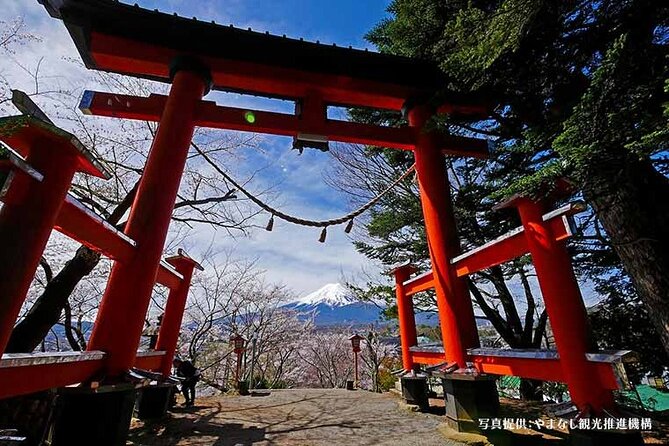 Mt. Fuji, Oishi Park & Arakurayama Pagoda Bus Tour with Lunch - The 398 steps to Chureito Pagoda