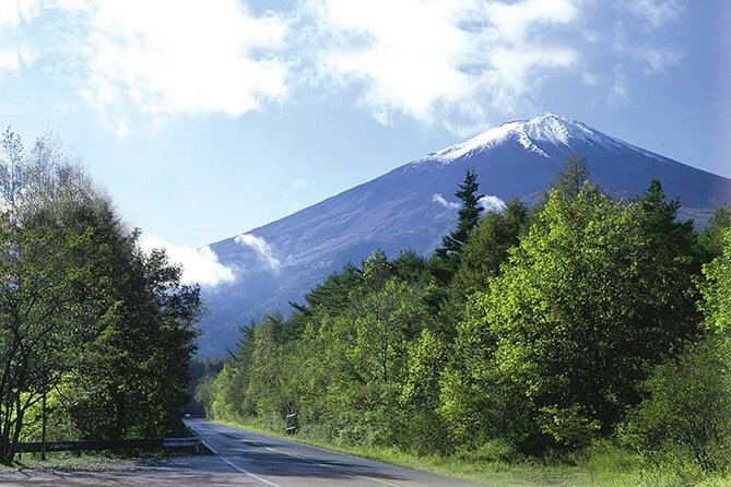 Mt. Fuji, Oishi Park & Arakurayama Pagoda Bus Tour with Lunch - Weather, traffic, and the limits of a fixed route