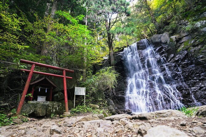 Mt. Fuji Private Chartered Tour with Nature and Wasabi Farm - Oshino Hakkai and Mt. Fuji spring water