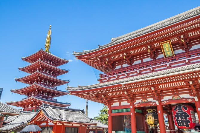 Mt. Fuji Private Chartered Tour with Nature and Wasabi Farm - The guides and the value of private travel