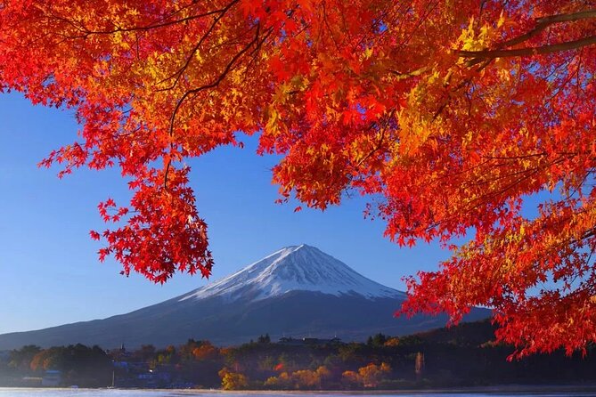 Mt Fuji Private Day Trip from Tokyo with English Speaking Driver - Why a private car makes this Fuji day practical