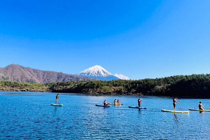 Mt Fuji Private Day Trip from Tokyo with English Speaking Driver - What the driver adds to the day
