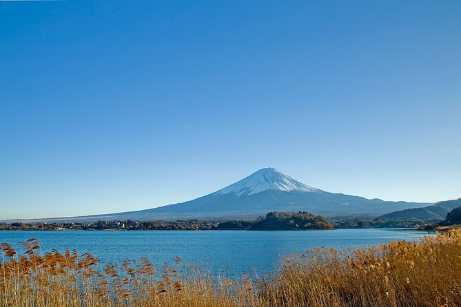 Mt Fuji Private Day Trip from Tokyo with English Speaking Driver - Oshino Hakkai, clear springs and a busy first look at Fuji