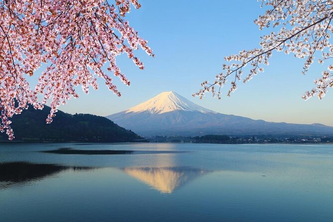 MT. FUJI/ Private Tour delivered and guided by a top-tier driver - Key points to know before booking