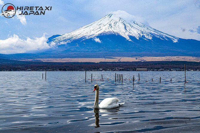 MT. FUJI/ Private Tour delivered and guided by a top-tier driver - Arakurayama Sengen Park: the famous pagoda view