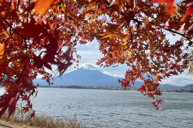 Mt. Fuji Private Tour with English Speaking Driver - A private route from Tokyo to Fuji country