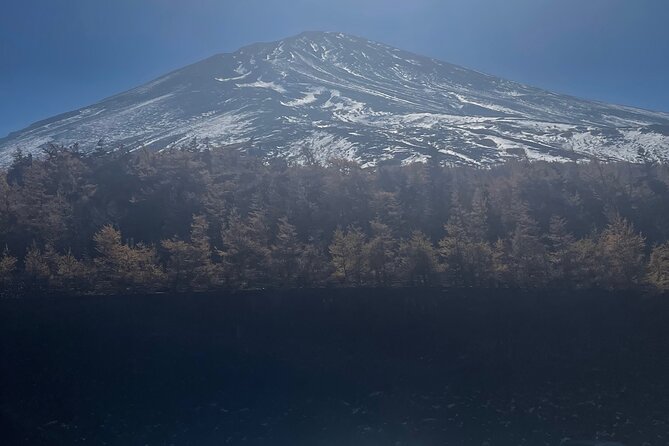 Mt. Fuji Private Tour with English Speaking Driver - Seasonal color at Oishi Park
