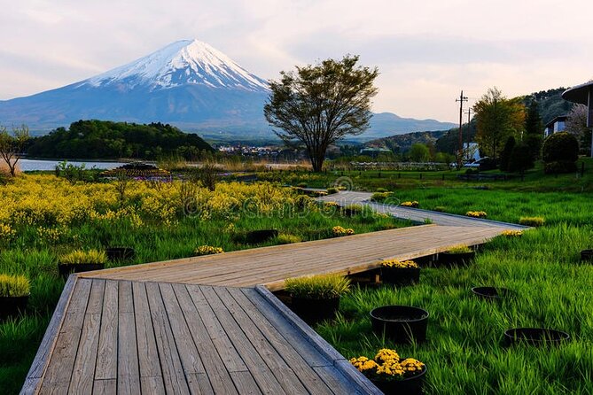 Mt. Fuji Private Tour with English Speaking Driver - What the private vehicle adds