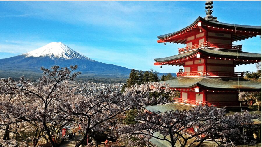Mt Fuji Sightseeing Private tour with English Speaking Guide - Lake Kawaguchi and Oishi Park