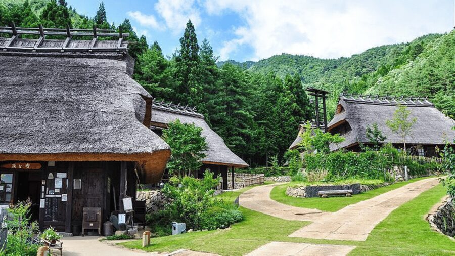 Mt Fuji Sightseeing Private tour with English Speaking Guide - Oshino Hakkai and Fuji Sengen Shrine