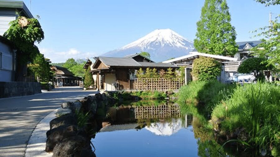 Mt Fuji Sightseeing Private tour with English Speaking Guide - Aokigahara Forest: short walk, serious atmosphere
