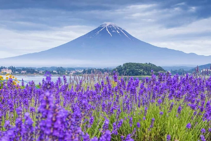 Mt Fuji Top 5 Spots Day Tour: Arakurayama Park,Oshino Hakkai - Starting in Tokyo at 8:00 or 8:30 AM