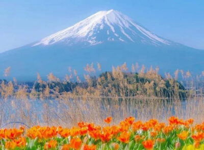 Mt Fuji Top 5 Spots Day Tour: Arakurayama Park,Oshino Hakkai