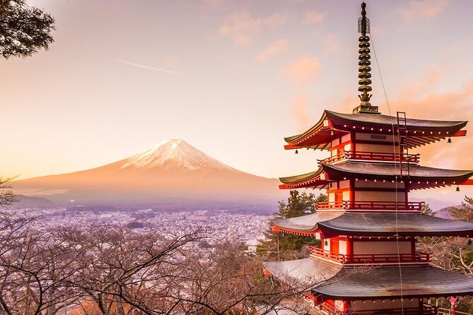 Mt. Fuji Tours with Kawaguchi Lake Ropeway View English Speaking - Starting in Tokyo: pickup details matter