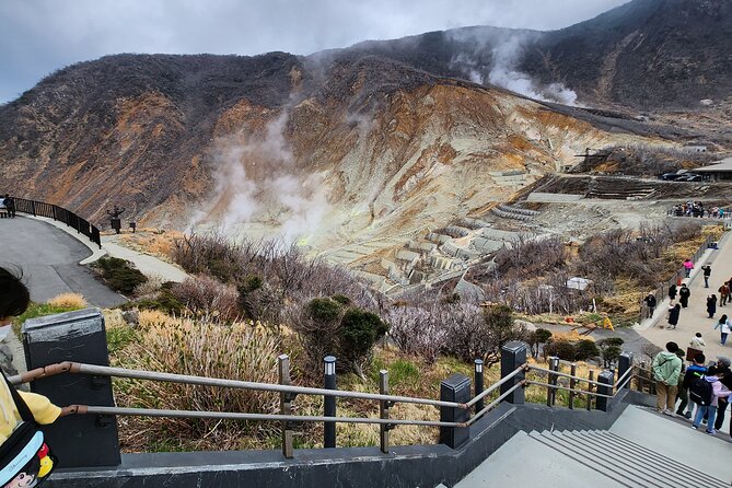 Mt.Fuji view Hakone Private tour with English speaking driver - Art Among the Mountains at the Open-Air Museum