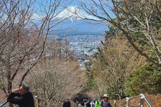 Mt.Fuji view Hakone Private tour with English speaking driver - Optional Shopping at Gotemba Premium Outlets