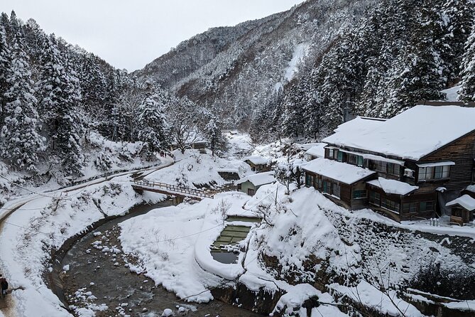 Nagano Snow Monkey 1 Day Tour with Beef Sukiyaki Lunch from Tokyo - Watching the snow monkeys in their hot springs