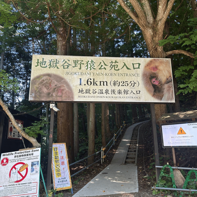 Nagano/Tokyo: Snow Monkey Private Day Tour At Lowest Rate - Key points to know before booking