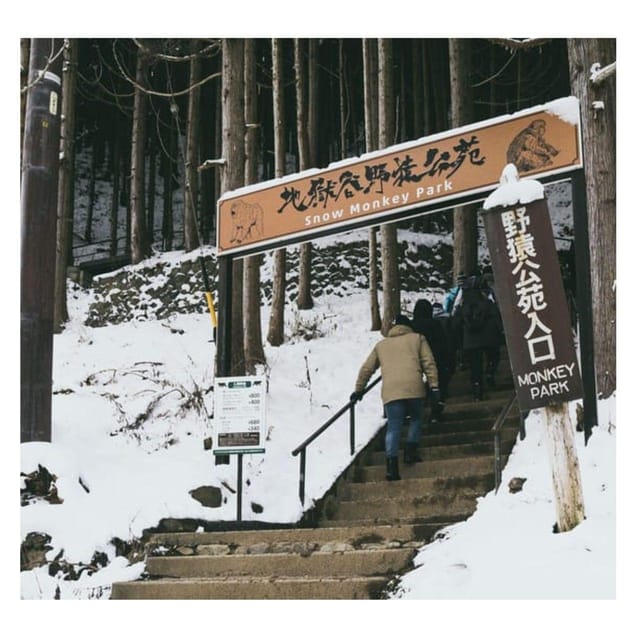 Nagano/Tokyo: Snow Monkey Private Day Tour At Lowest Rate - Why this Nagano day trip works best as a private tour
