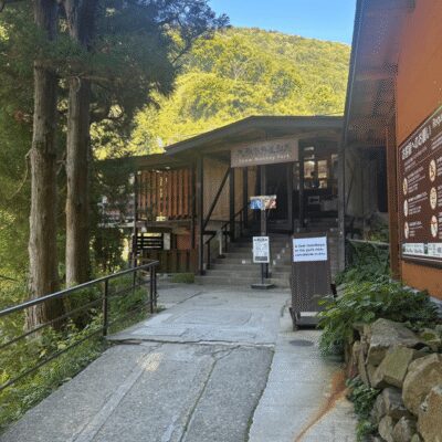 Nagano/Tokyo: Snow Monkey Private Day Tour At Lowest Rate