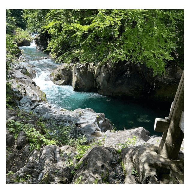 Nagano/Tokyo: Snow Monkey Private Day Tour At Lowest Rate - Zenko-ji Temple and the dark passage beneath the hall