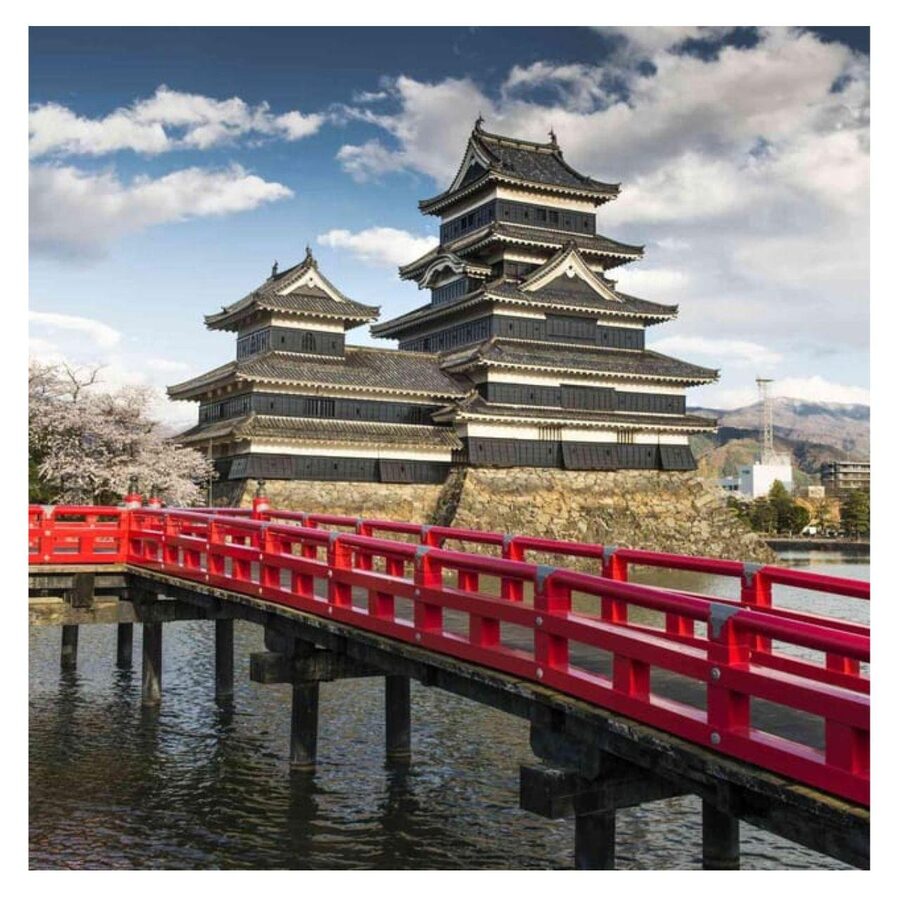 Nagano/Tokyo: Snow Monkey Private Day Tour At Lowest Rate - The driver can make or break the long day