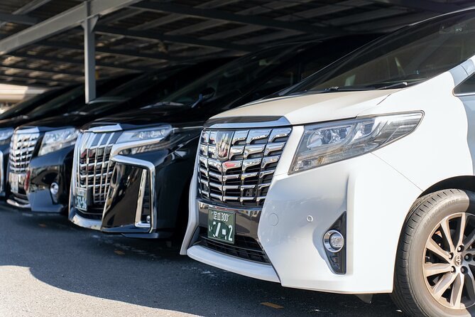 Narita Airport(NRT) Private Transfer To/From Tokyo 1-way or Round - Arriving at Narita: what happens after landing