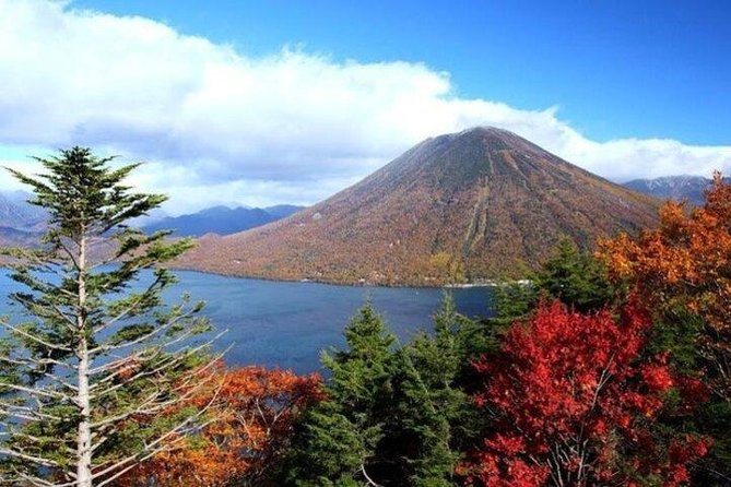 Nikko Full-Day Private Tour with Government-Licensed Guide - Quieter Nikko stops reward curious visitors