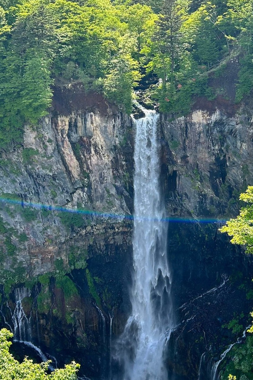 Nikko Heritage & Nature Day Trip from Tokyo - Toshogu Shrine among the cedar trees