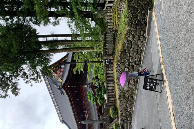 Nikko one day trip GREEN NUMBER PLATES - Kegon Falls: the mountain scenery payoff