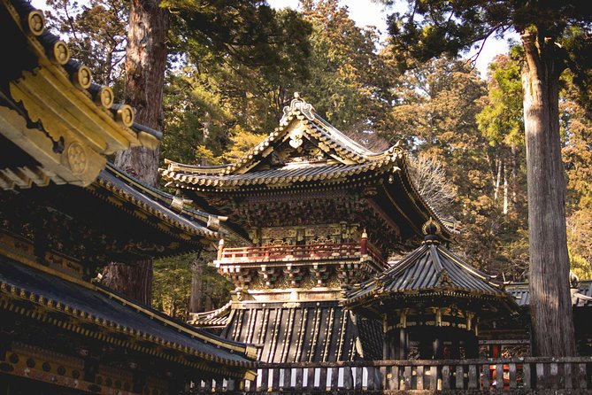 Nikko Private Day Tour from Tokyo with English-Speaking Driver - What this private Nikko day really gives you