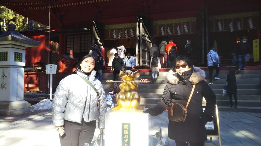 Nikko: Private Walking Tour with Local Guide - Why a private guide makes Nikko easier
