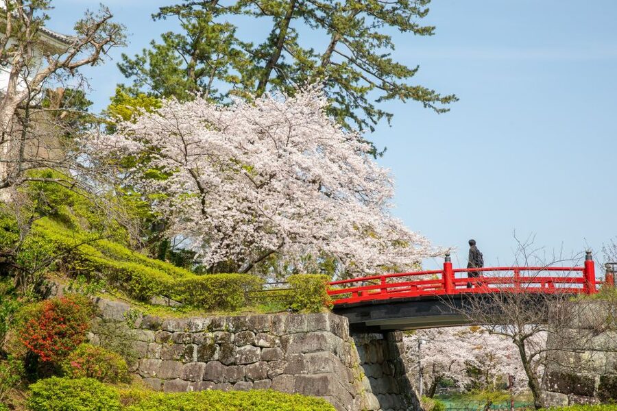 Odawara: Odawara Castle Tenshukaku Entrance Ticket - The top tower and Sagami Bay views