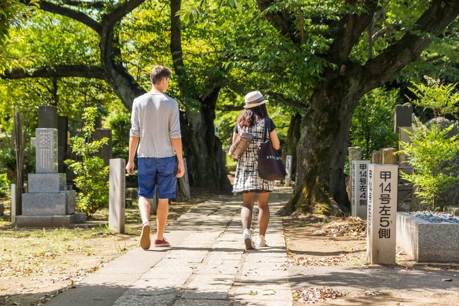 Old and Nostalgic Tokyo: Half-Day Yanaka Walking Tour - Who should book this walk?