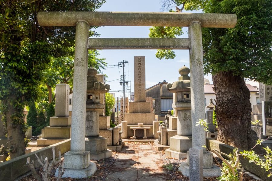 Old and Nostalgic Tokyo: Half-Day Yanaka Walking Tour - Nezu Shrine and the Tokugawa connection