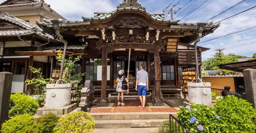 Old and Nostalgic Tokyo: Half-Day Yanaka Walking Tour - Yanaka-Ginza and the taste of neighborhood Tokyo