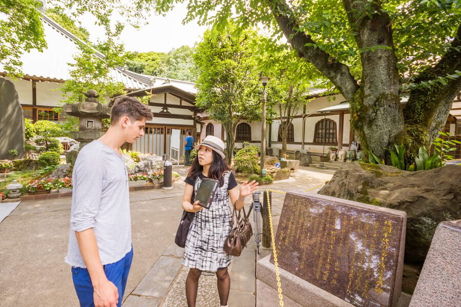 Old and Nostalgic Tokyo: Half-Day Yanaka Walking Tour - Is $83 a fair price?