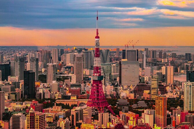 Private and Customisable Tokyo Tour with English Driver-guide - Key points to know before booking