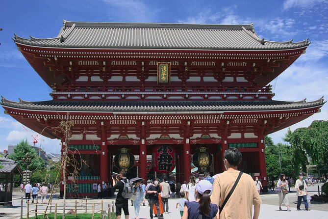 Private and Customisable Tokyo Tour with English Driver-guide - Why a private car makes sense in Tokyo