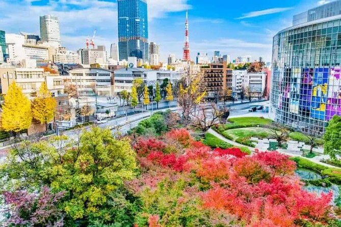 Private and Customisable Tokyo Tour with English Driver-guide - Odaiba and Tsukiji on the waterfront side