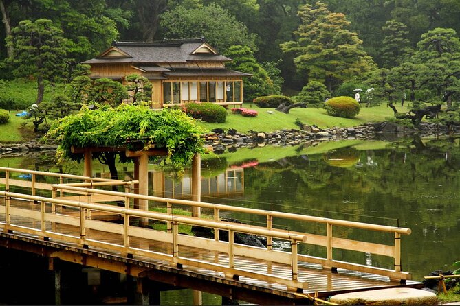 Private and Customisable Tokyo Tour with English Driver-guide - Shibuya, Takeshita Street, and Meiji Shrine